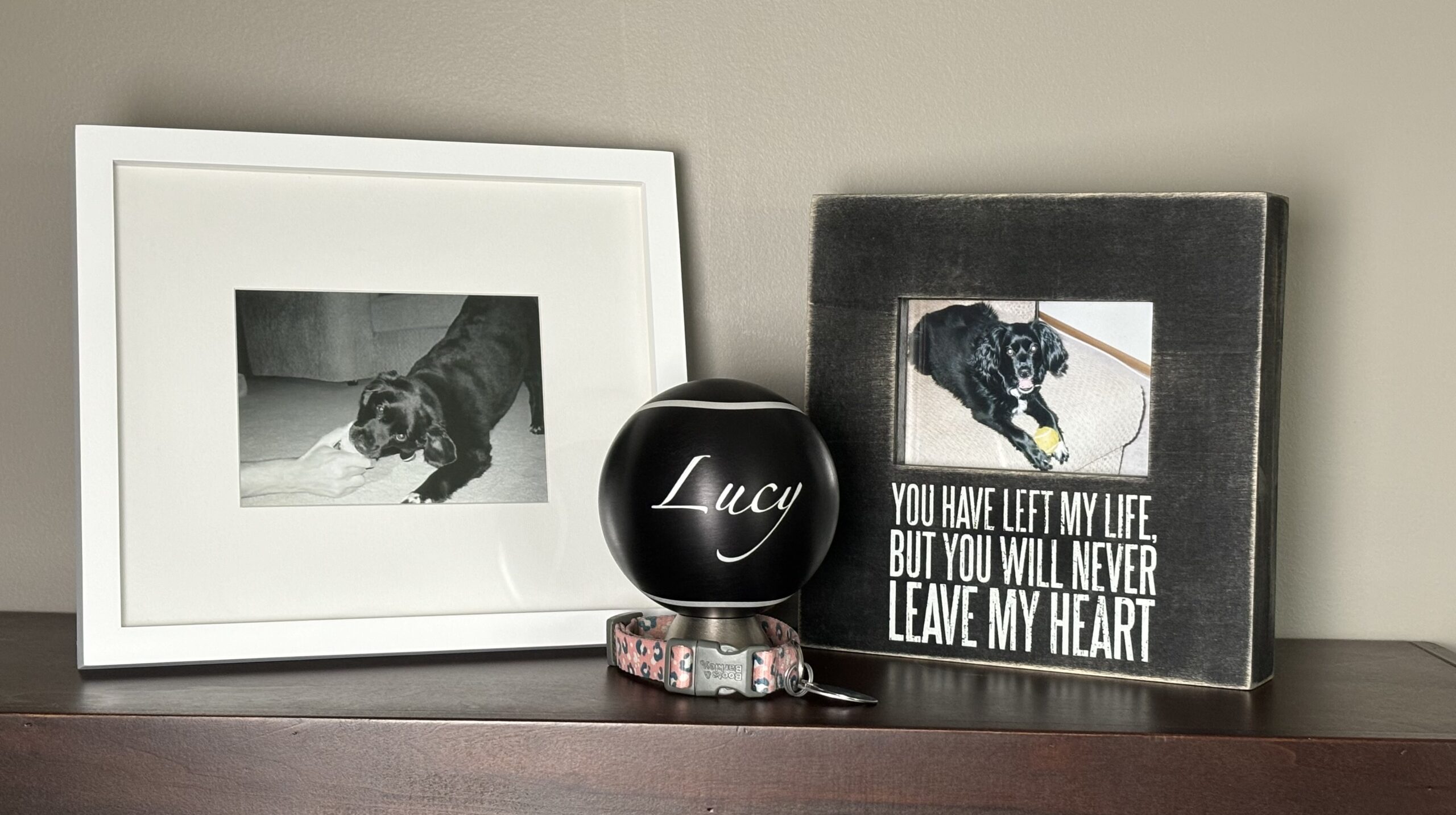 a tennis ball shaped custom modern cremation urns created for their beloved dog Lucy