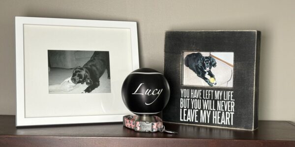 How Custom Pet Urns Can Help in the Grieving Process