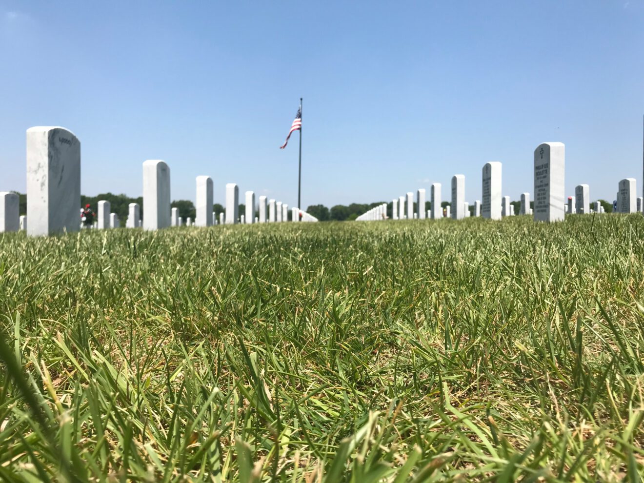 gravestones in a cemetery