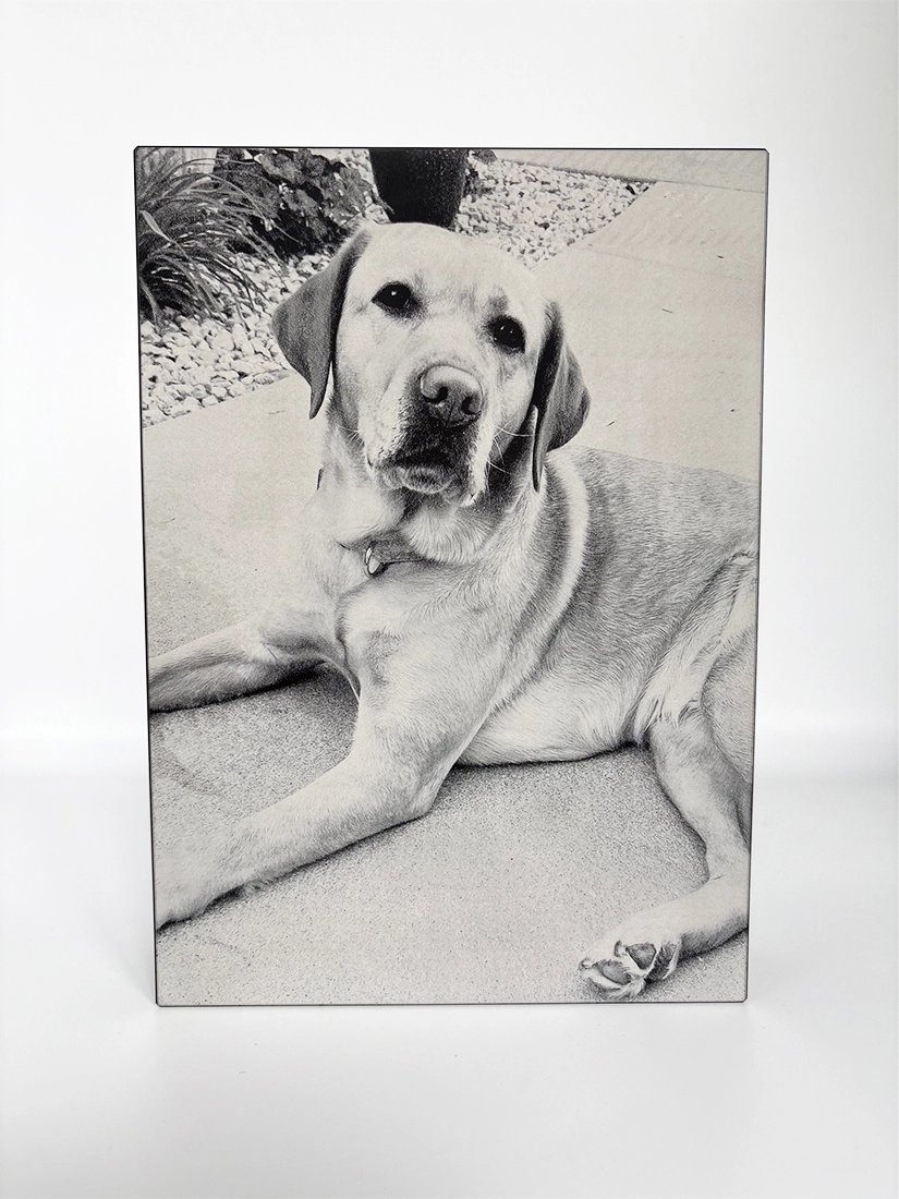 Evermore Pet Urn