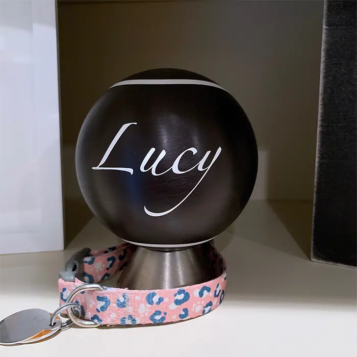 Lucy urn sphere, with dog collar and tags
