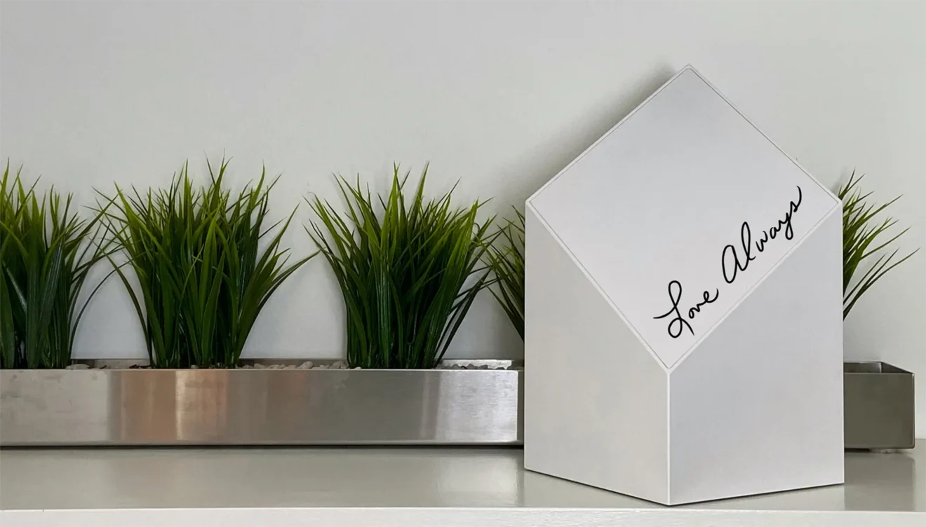 Everlast on a shelf with green plants