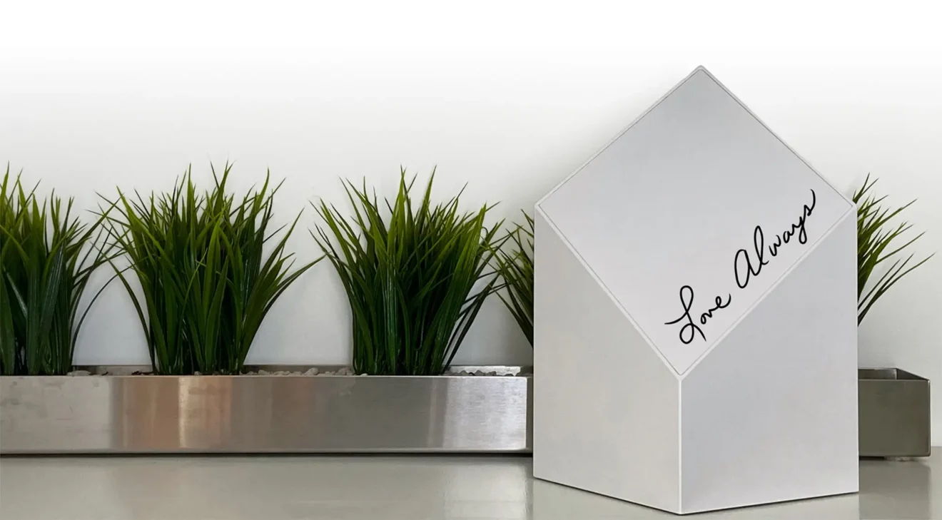 Everlast on a shelf with green plants