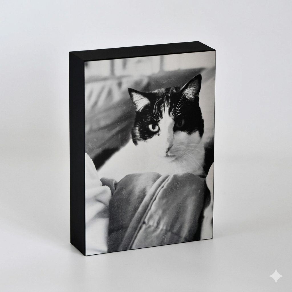 Evermore Custom Pet Urn | Photo Pet Urn | 60 Cubic Inch - Image 5